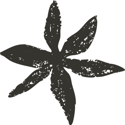 Icône