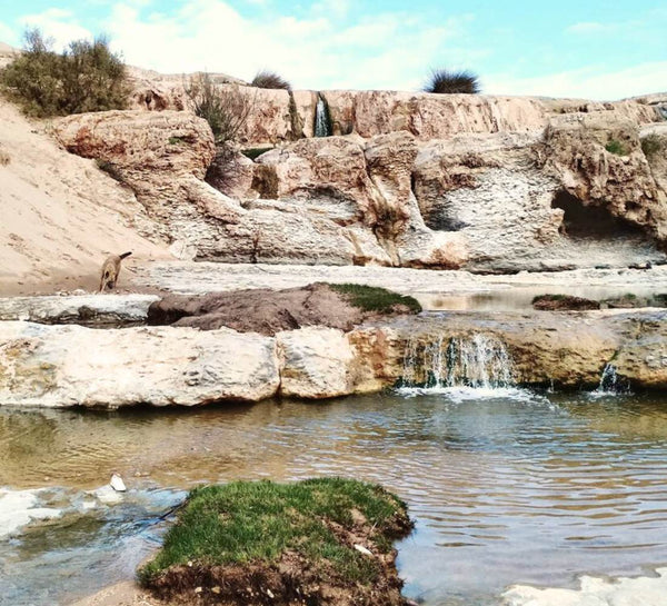 Retraite Surf et Yoga à Essaouira