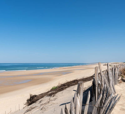 Surf & Yoga dans les Landes - été
