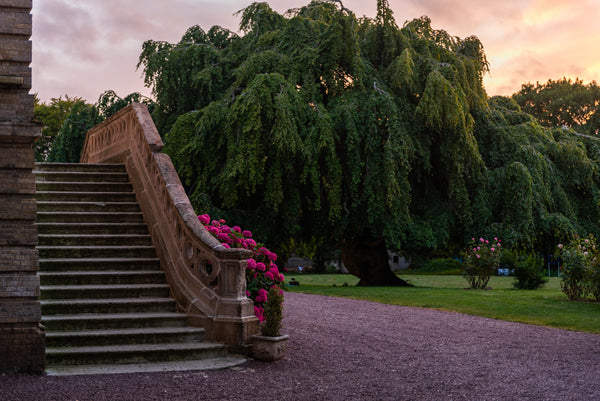 Nouvel an : Yoga & joie de vivre en Normandie