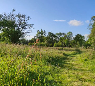 Yoga, Méditation & Cuisine Végétale en Bretagne