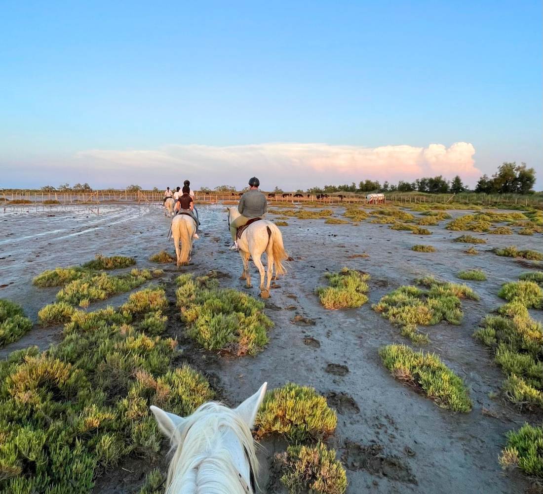 Nouvel an : Bien-être, sport & bain froid en Camargue