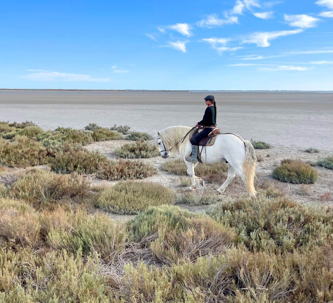 Nouvel an : Bien-être, sport & bain froid en Camargue