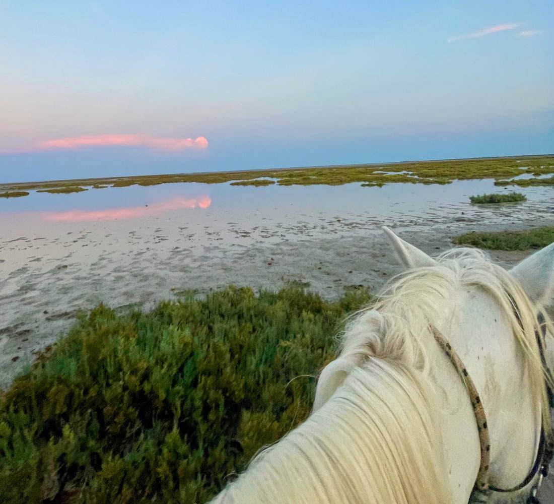 Nouvel an : Bien-être, sport & bain froid en Camargue