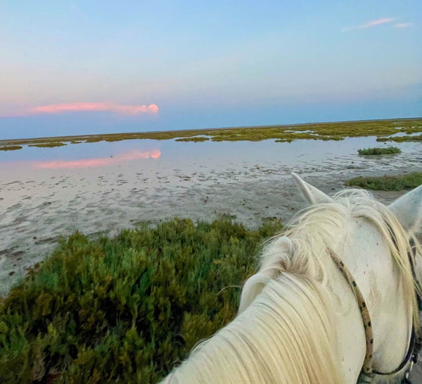 Nouvel an : Bien-être, sport & bain froid en Camargue