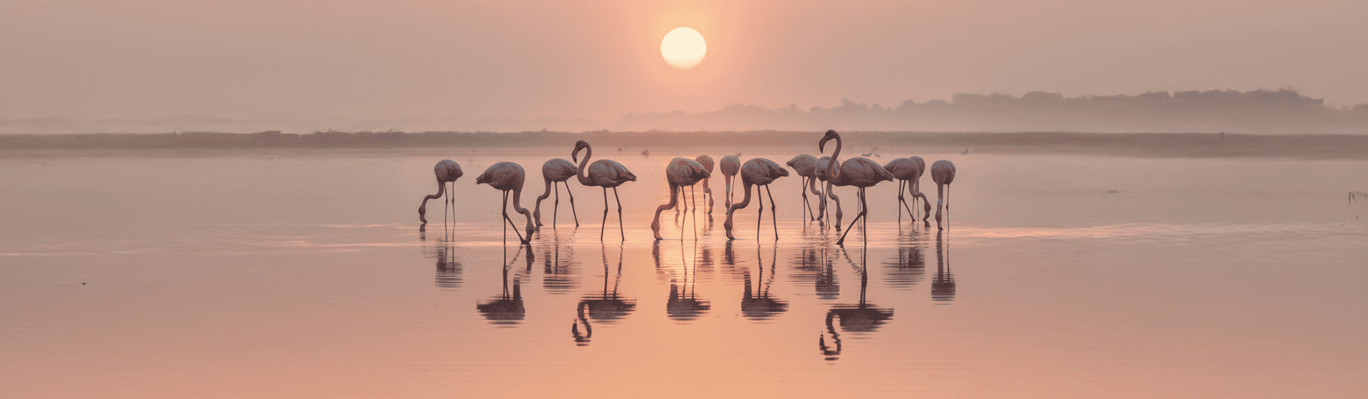 Séjour Parenthèse Solaire yoga en camargue