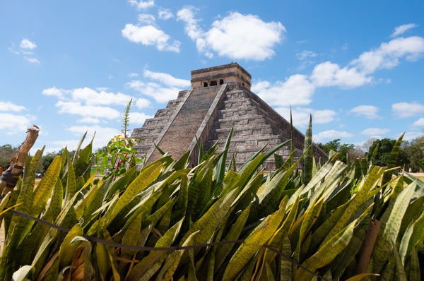 Voyage bien-être : Yoga & découverte du Yucatan au Mexique