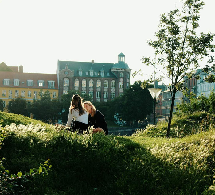 Vélos et façades colorées à Copenhague en automne