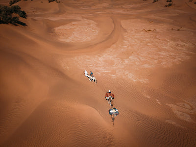 Doux passage vers 2024 dans le désert marocain