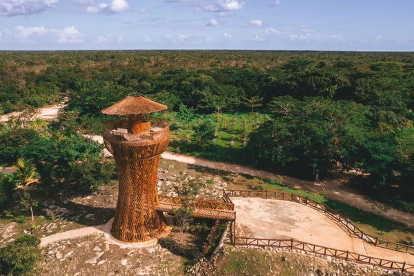 Voyage bien-être : Yoga & découverte du Yucatan au Mexique