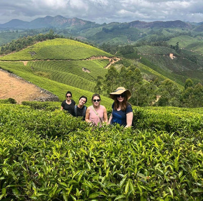 Inde du Sud • Ayurveda & exploration au cœur du Kerala - Séjour Inde