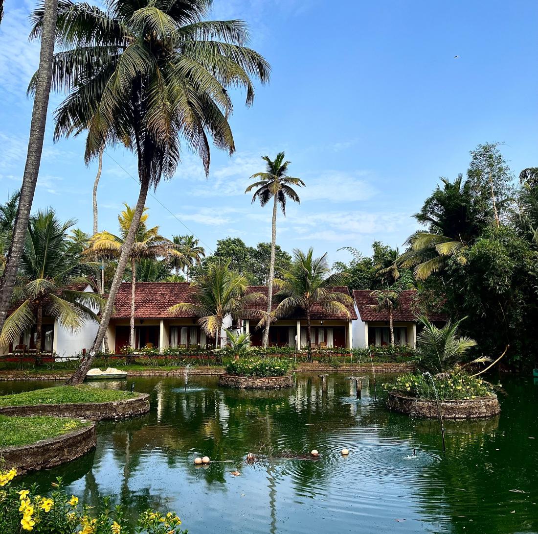 Inde du Sud • Ayurveda & exploration au cœur du Kerala - Séjour Inde