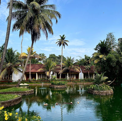 Inde du Sud • Ayurveda & exploration au cœur du Kerala - Séjour Inde