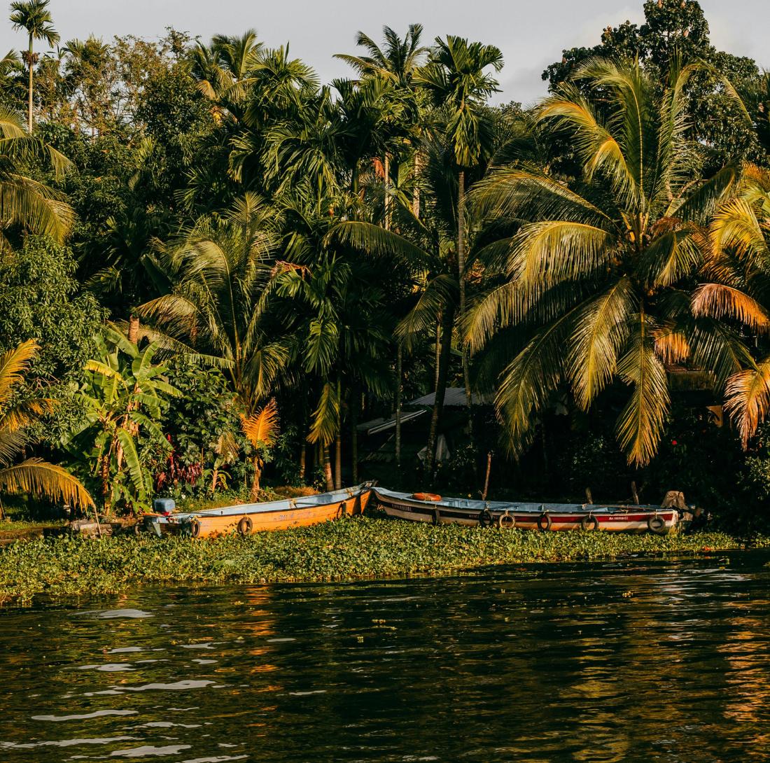 Inde du Sud • Ayurveda & exploration au cœur du Kerala - Séjour Inde