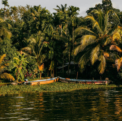 Inde du Sud • Ayurveda & exploration au cœur du Kerala - Séjour Inde