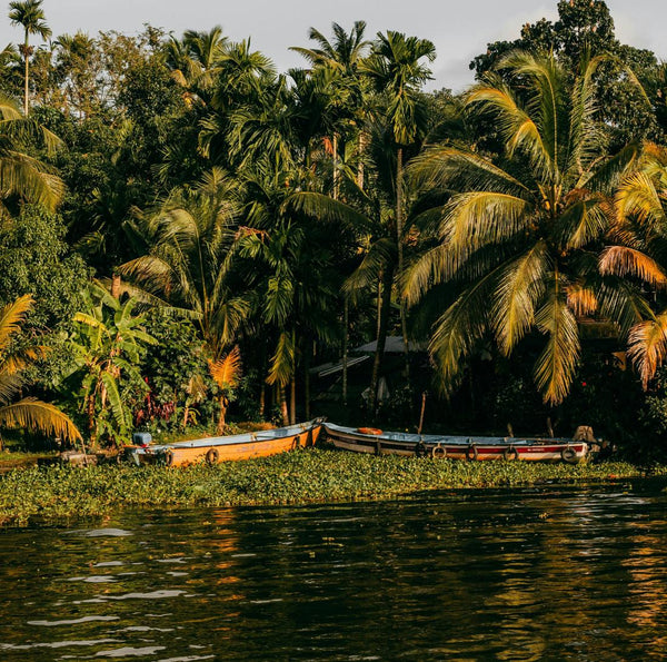 Inde du Sud • Ayurveda & exploration au cœur du Kerala - Séjour Inde