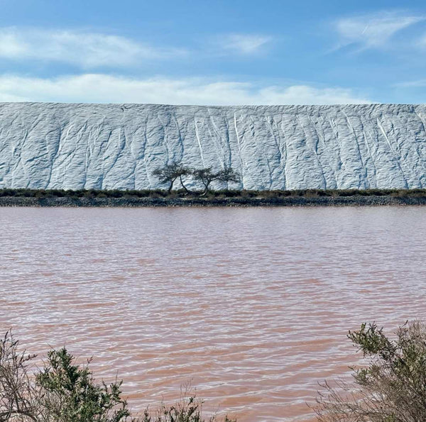 Pilates & Yoga en Camargue - Séjour Camargue
