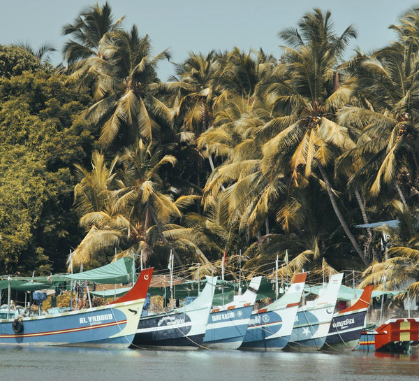 Voyage bien-être & découverte du Kerala, Inde du Sud