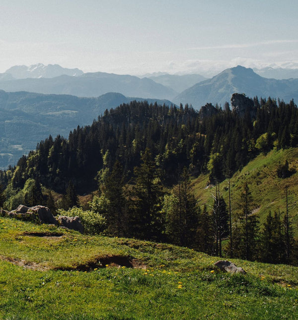 Retraite Yoga et Mountain Therapy dans les Alpes