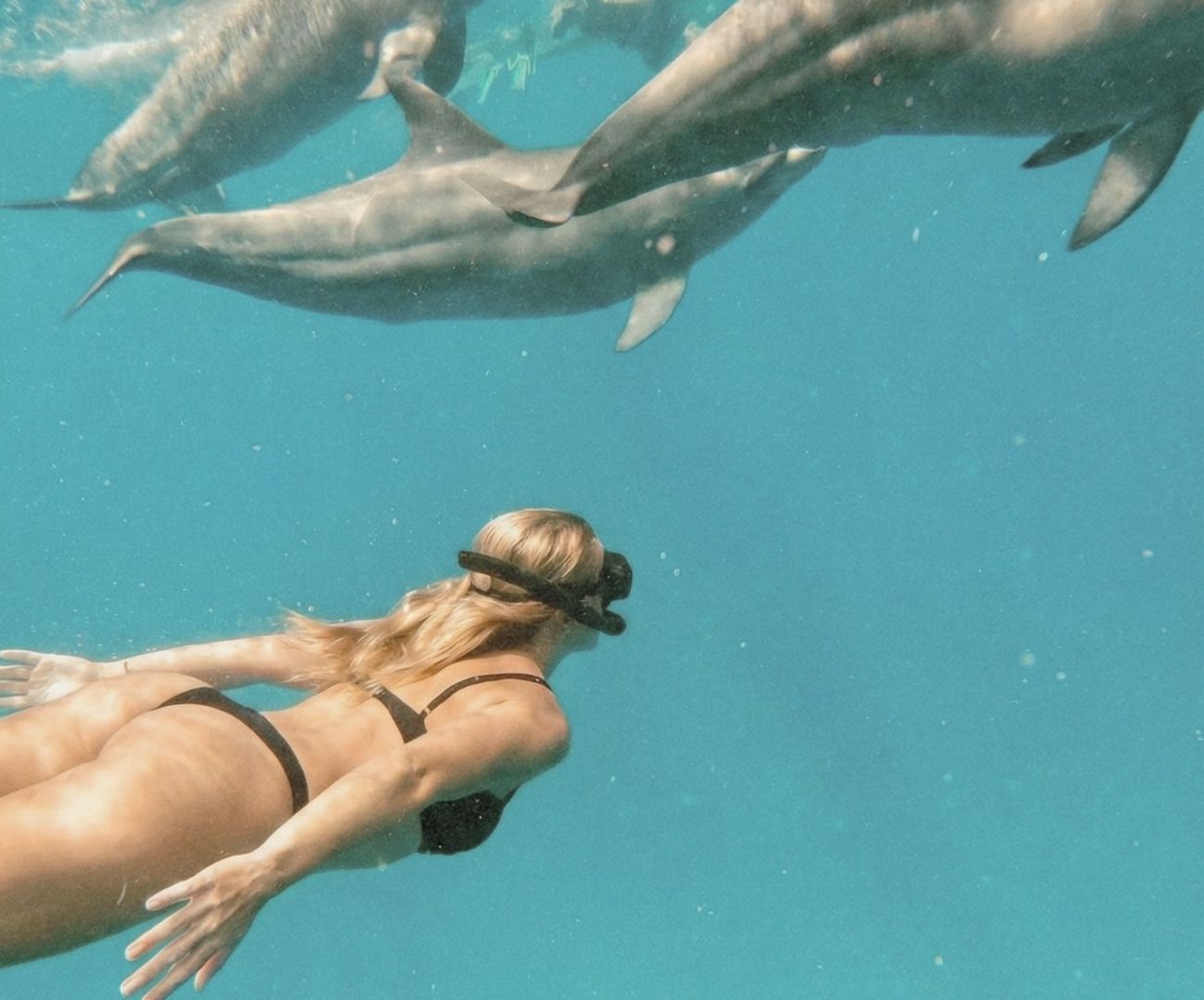 UNE JOURNÉE DANS LE LAGON : DAUPHINS & SNORKELING.