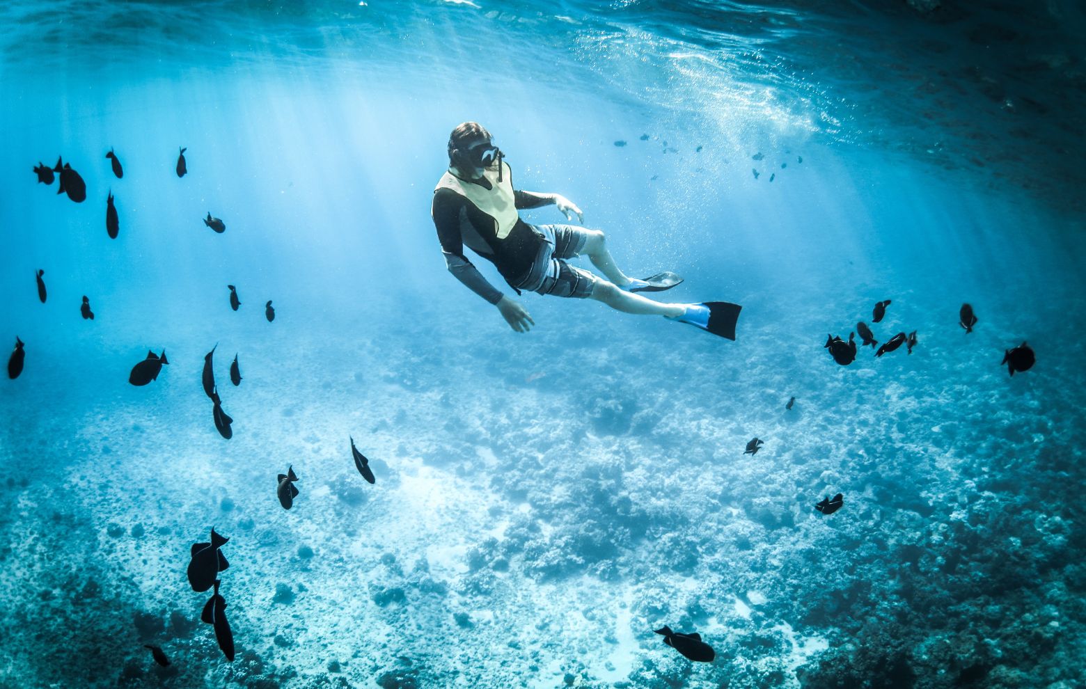 Snorkeling pendant un séjour yoga à l'île de Madère avec Namastrip