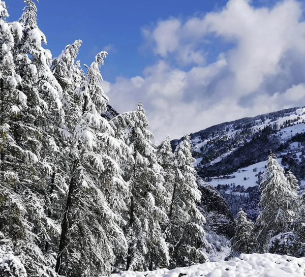 Retraite Yoga, Équilibre et Énergie à la montagne - hiver