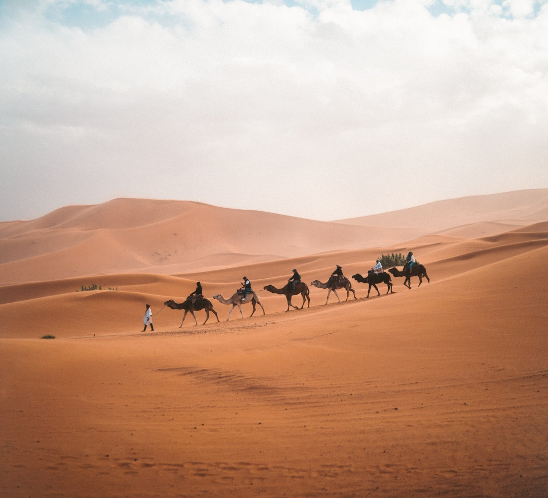 Expédition bien-être dans le désert marocain