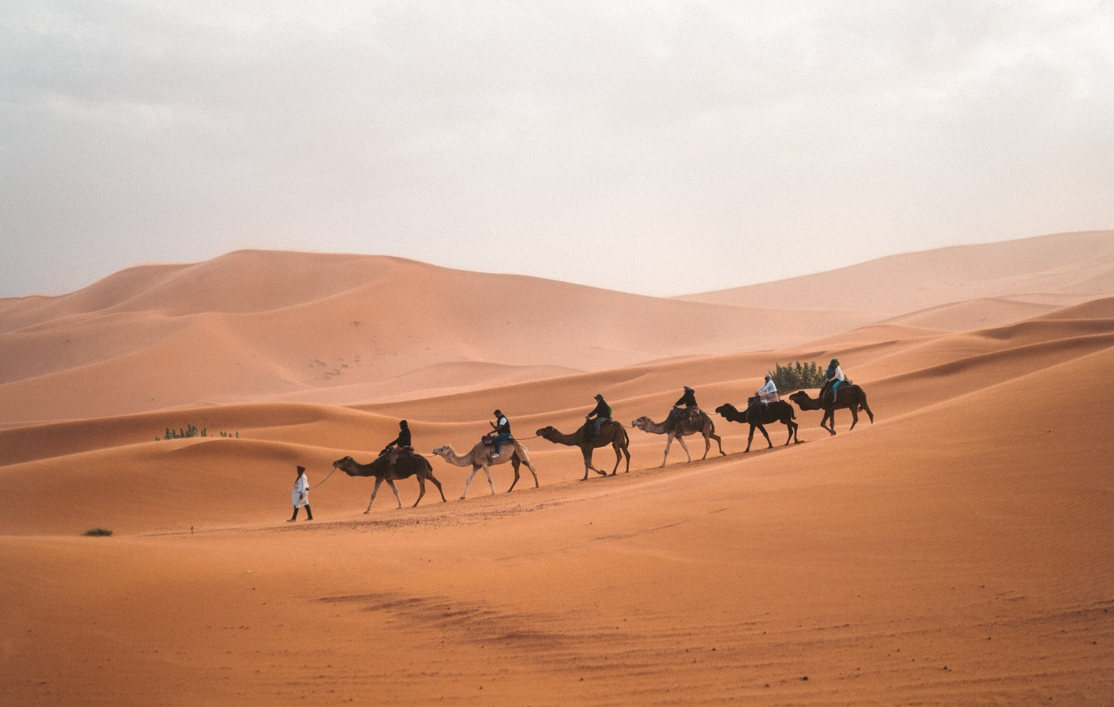 Yoga & randonnée dans le désert marocain