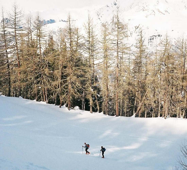 Haute Altitude en Hiver : Yoga, Spa & Raquettes face au Pic du Midi - Séjour Pyrénées
