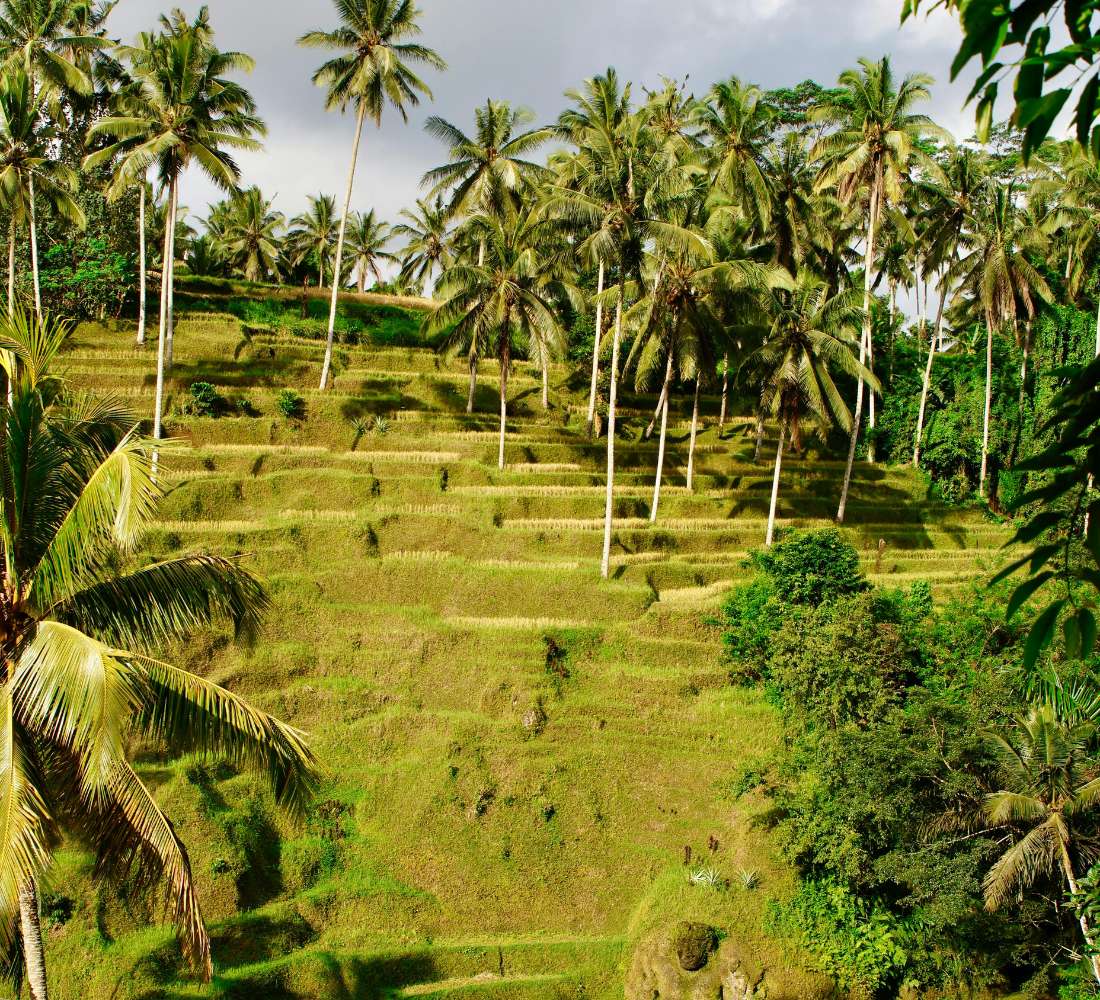 Bali Authentique • Yoga, snorkeling et cérémonies sacrées