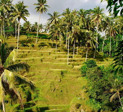 Bali Authentique • Yoga, snorkeling et cérémonies sacrées