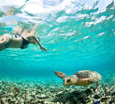 Bali Authentique • Yoga, snorkeling et cérémonies sacrées