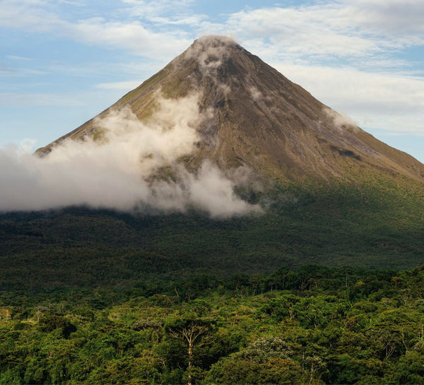 Costa Rica • Volcan, jungle & Pacifique sauvage