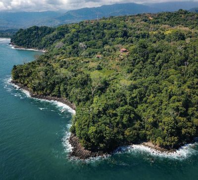 Costa Rica • Volcan, jungle & Pacifique sauvage