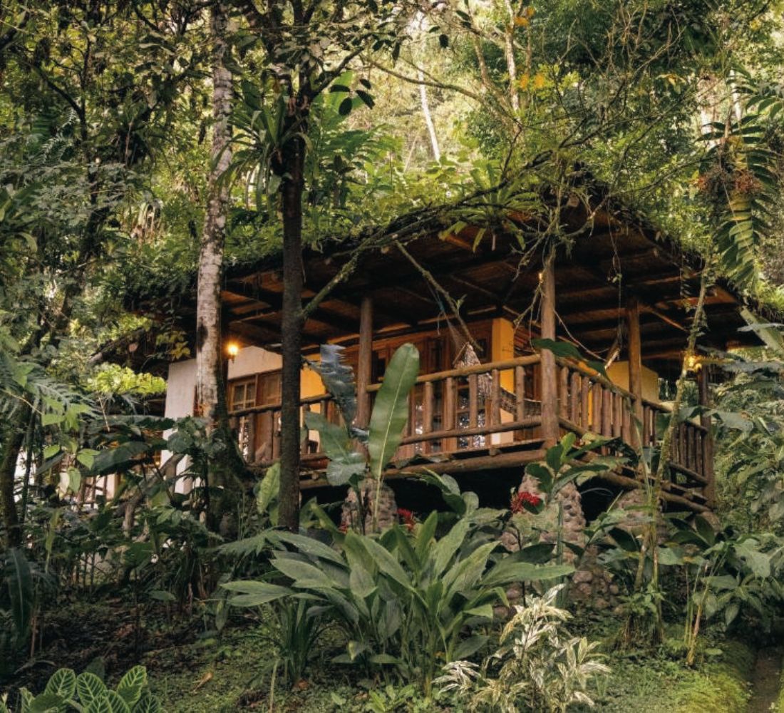 Costa Rica • Volcan, jungle & Pacifique sauvage