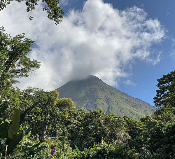 Costa Rica • Volcan, jungle & Pacifique sauvage
