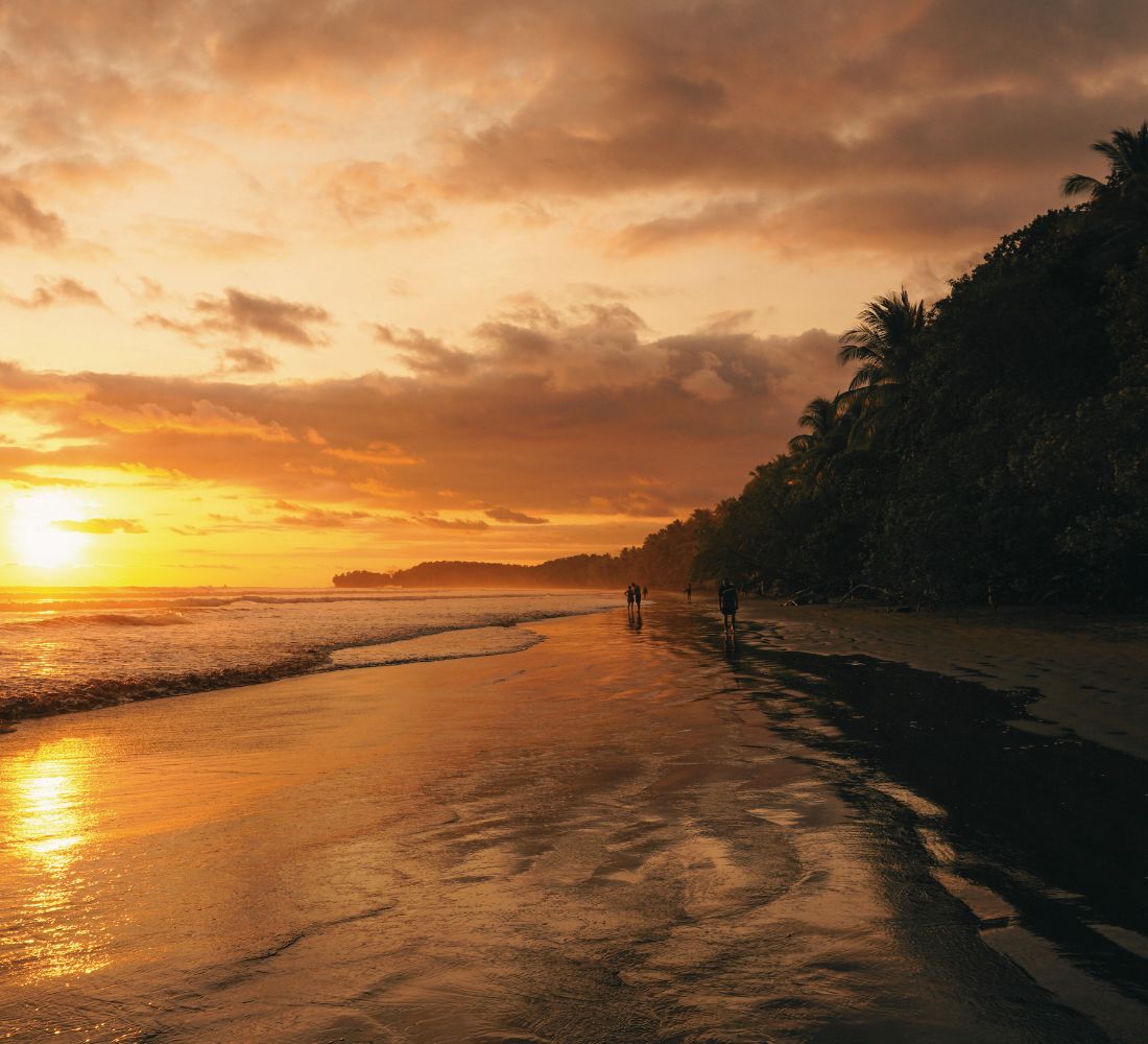 Costa Rica • Volcan, jungle & Pacifique sauvage