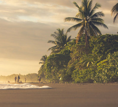 Costa Rica • Volcan, jungle & Pacifique sauvage