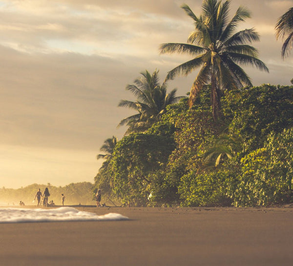Costa Rica • Volcan, jungle & Pacifique sauvage