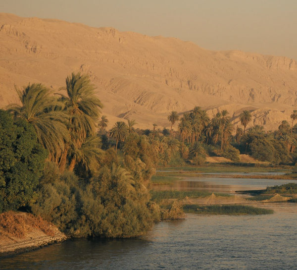 Égypte : Louxor et croisière sur le Nil