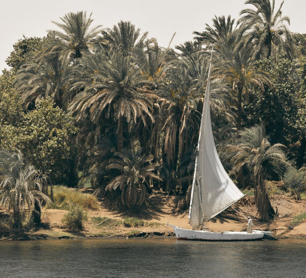 Égypte : Louxor et croisière sur le Nil