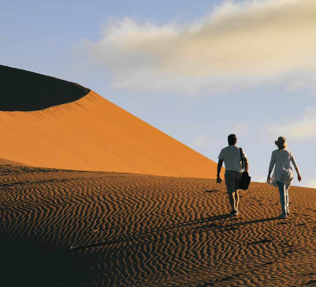 Au Cœur de l’Immensité : Safari & Déserts de Namibie