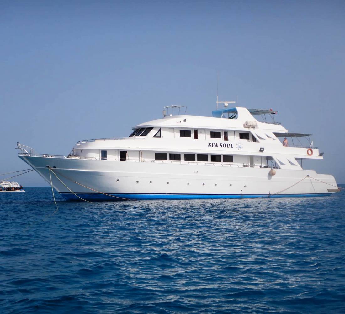 Égypte • Croisière bien-être & nage avec les dauphins