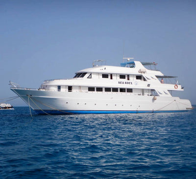 Égypte • Croisière bien-être & nage avec les dauphins