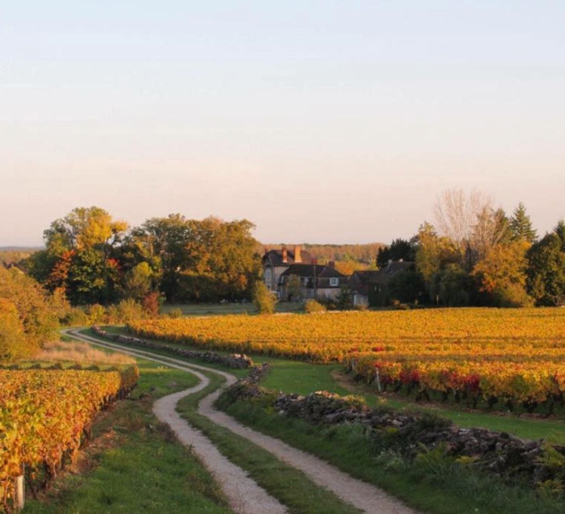 Réveillon Good Vibes : Yoga, Pilates & Énergie en Bourgogne - Séjour Bourgogne