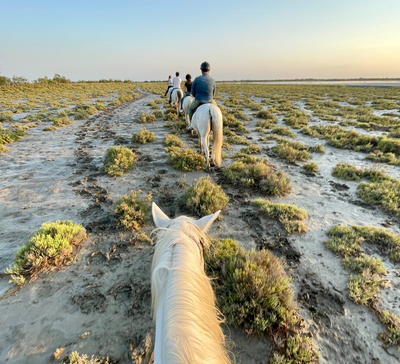 Retraite Yoga & Cheval en Camargue - été