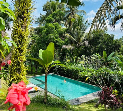 Bali Sacré : Traverser l’Île entre Rizières, Rituels & Océan