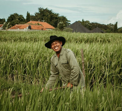 Bali Sacré : Traverser l’Île entre Rizières, Rituels & Océan