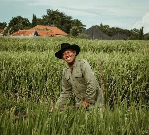 Bali Sacré : Traverser l’Île entre Rizières, Rituels & Océan