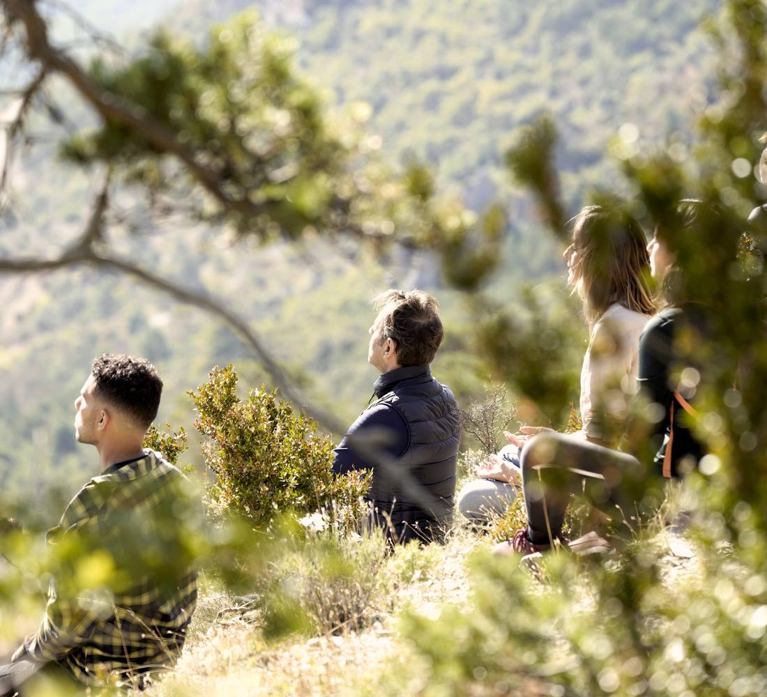 À l’État Pur : Bivouac & Immersion Nature en Drôme provençale